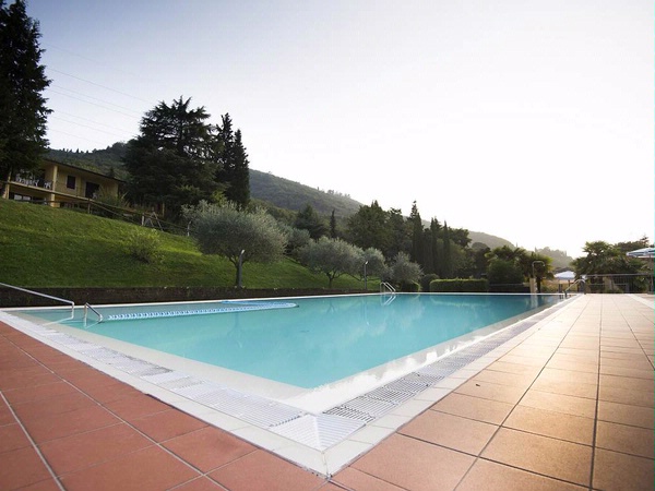 The pool of Corte Camaldoli among the olive trees